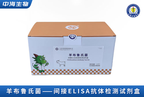 中海羊布鲁氏菌间接ELISA抗体检测试剂盒图片